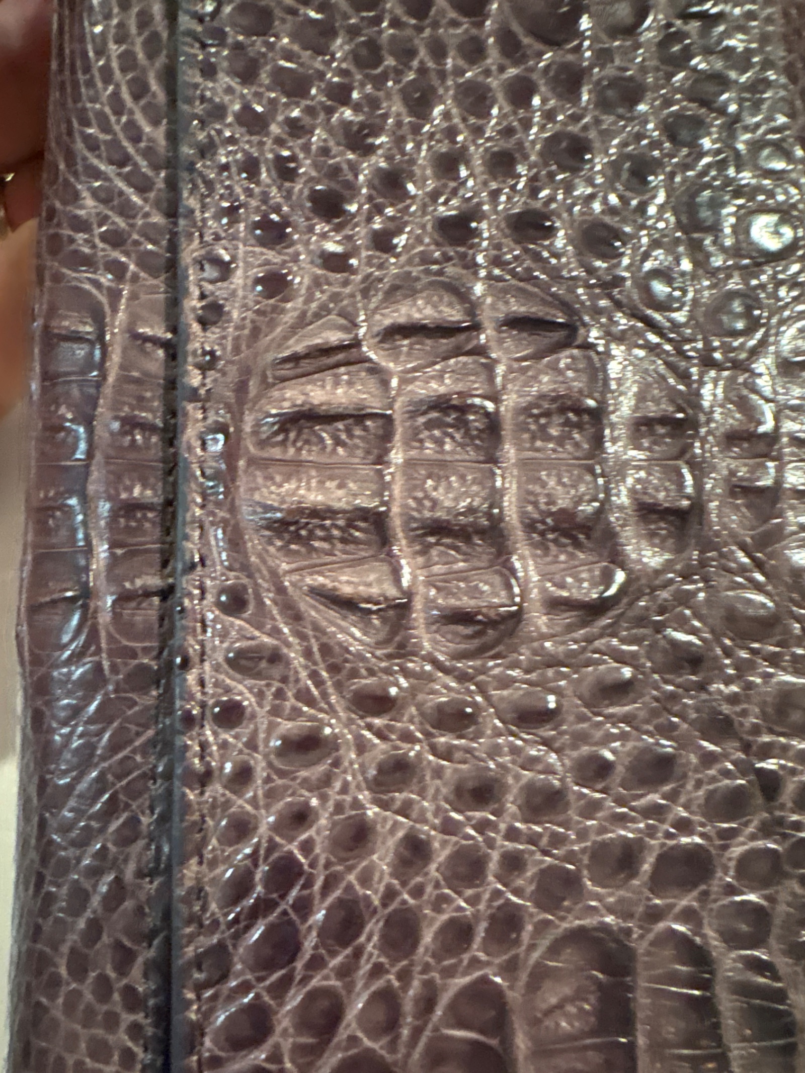Alligator Skin Leather Wallet — photo 8